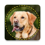 dogs identification app android application logo